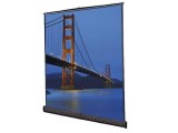 Da-Lite Floor Model C Front Projection Screen 12' x 12'