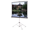 Da-Lite 6ft x 6ft Tripod Screen
