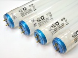 Kino Flo Bulbs, 4 x 2 foot, 5500K Daylight
