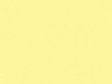 Savage #93 Lemonade, 107" x 12 yds Seamless Background