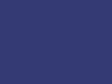Savage #05 Ultramarine, 107" x 12 yds Seamless Background