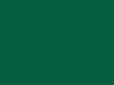 Savage #18 Evergreen, 107" x 12 yds Seamless Background