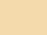 Savage #25 Beige, 107" x 12 yds Seamless Background