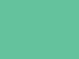 Savage #40 Mint Green, 107" x 12 yds Seamless Background