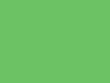 Savage #46 Tech Green, 107" x 12 yds Seamless Background
