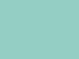 Savage #47 Baby Blue, 107" x 12 yds Seamless Background